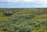 Плюсы глобального потепления: земли Ямала могут быть пригодны для сельского хозяйства 