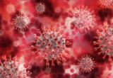 В России впервые число суточных заражений коронавирусом превысило 100 тысяч человек