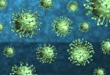 За сутки в России коронавирусом заболели 168 тысяч человек 