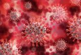 На Ямале рекордные 2,4 тысячи заболевших коронавирусом