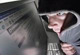 Правоохранители России и Белоруссии накрыли банду интернет-террористов