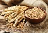В России вводится запрет на экспорт зерна и сахара