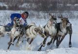 При поддержке «Роснефти» на Ямале прошел День оленевода