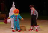 Юные циркачи из Нового Уренгоя приехали с наградами тюменского международного фестиваля (ФОТО) 