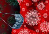 Суточное число заболевших коронавирусом на Ямале снизилось до 20 