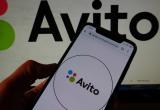 Пользователи «Авито» жалуются на сбои в работе сайта 