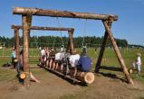 Летом на Ямале откроется 75 детских пришкольных лагерей