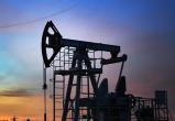 На Ямале нашли крупную залежь нефти с запасами 1 млн тонн 
