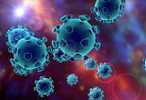 За сутки на Ямале коронавирусом заразились 9 человек 
