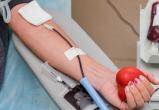 День в истории: 14 июня отмечается Всемирный день донора крови