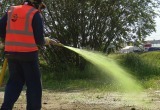 До чего техника дошла: в Новом Уренгое впервые высаживают газонную траву с помощью гидропосева (ФОТО)