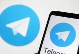 В Новом Уренгое создали специальный чат для предпринимателей в мессенджере Telegram 