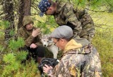 На Ямале два дня искали заблудившегося в лесу мужчину (ФОТО)