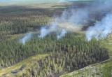 На Ямале из-за неосторожного обращения с огнем в охотничьих избах в этом году погибли 5 человек