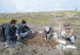 Под жилыми домами на Ямале просверлят дырки для наблюдения за вечной мерзлотой