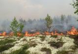 На Ямале потушили все лесные пожары