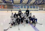 Хоккеистов на Ямале будут воспитывать с первого класса 