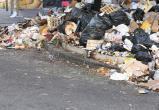В Муравленко садоводы СНТ «Дружба» вместе с прокураторой добились ликвидации 8 мусорных свалок
