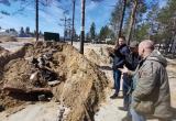 Садоводы из Муравленко нажаловались на председателя СНТ в прокуратуру из-за свалки