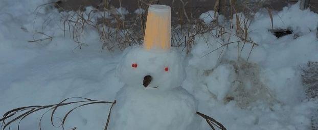 Первый снег на Ямале выпал, настало время расчехлять морковки и ведра (ФОТО, ОПРОС)