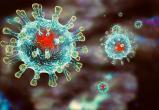 На Ямале снова зафиксировали смерть от коронавируса