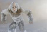 Ученые РАН докажут, правда ли в Шурышкарском районе бродит снежный человек (ФОТО, ВИДЕО) 