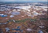 На Ямале выбирают лучшие проекты Года экологии