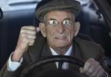 В Харпе автоинспекторы задержали пьяного пенсионера-рецидивиста без прав
