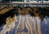 «Газпромнефть-Ноябрьскнефтегаз» заплатил 43 миллиона рублей за залитый нефтью ямальский лес