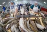 В Надыме откроется цех по переработке «рыбов» 
