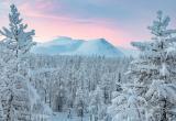 Эксперты заявляют о тенденции к улучшению экологии на Ямале
