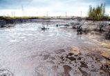 В Лабытнанги прокурор заставил власти и тубдиспансер восстановить загрязненную землю