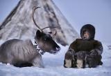 Новогодние каникулы на Ямале: лучшие туры (ФОТО)