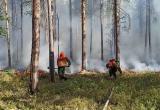 На Ямале началась подготовка к пожарам и паводкам 