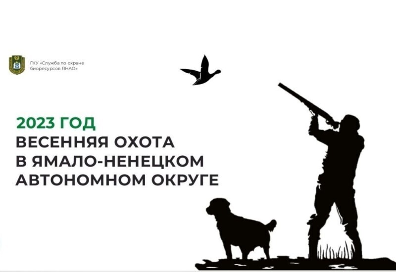 Правила весенней охоты в Ямало-Ненецком автономном округе в 2023 году
