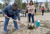 Ямальцы высалили более двух тысяч деревьев во время акции «Сад памяти»