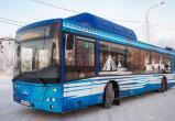 Пассажиров автобусов Ямала будут обслуживать по единому стандарту