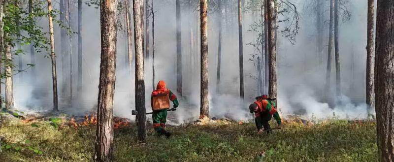 ФОТО пресс-службы правительства ЯНАО 