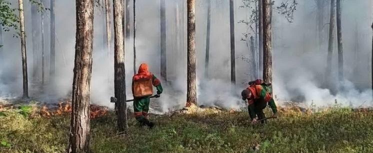 ФОТО: ДЕПАРТАМЕНТ ГРАЖДАНСКОЙ ЗАЩИТЫ И ПОЖАРНОЙ БЕЗОПАСНОСТИ ЯНАО