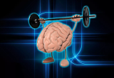 Физическая активность улучшает память и когнитивные функции 
