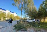 Фото: Госавтоинспекция ЯНАО