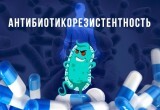 Что такое микробная резистентность