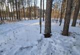 Фото: УМВД России по Тюменской области