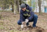 Ученые разработали правила озеленения городов и поселков Ямала