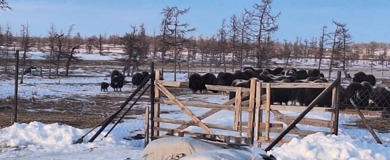 Фото: ГБУ «Дирекция ООПТ ЯНАО»