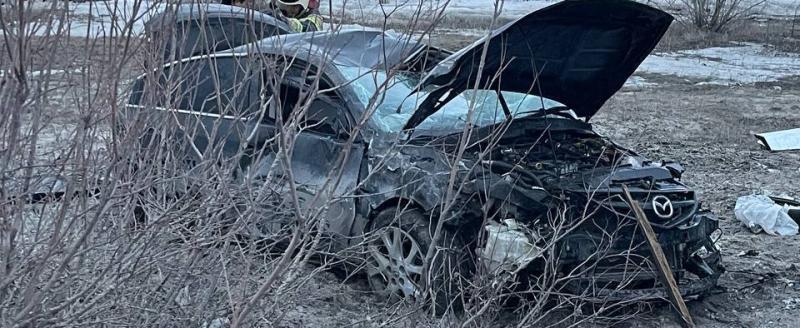 Фото: Госавтоинспекция Нового Уренгоя