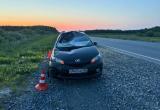 Фото: пресс-служба Госавтоинпекции Тюменской области