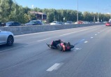 Госавтоинспекция по Тюменской области