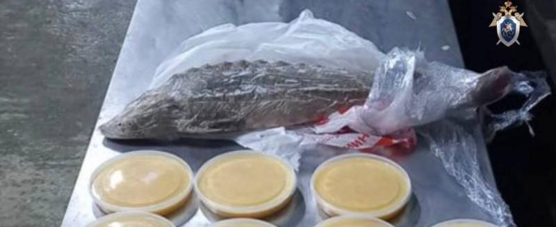 Следком ЯНАО