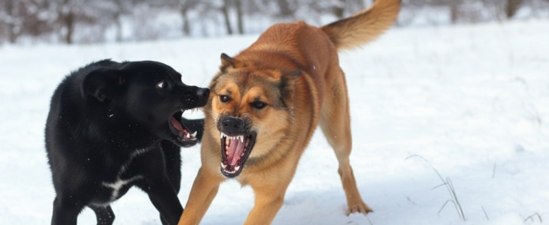 Сгенерировано нейросетью